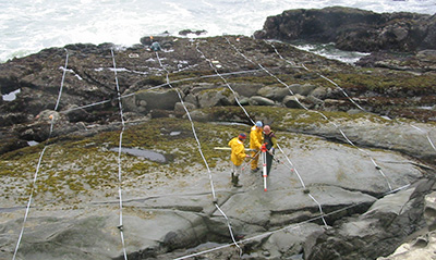 SWAT team surveying rocky intertidal shelf