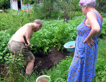 A couple working in their garden