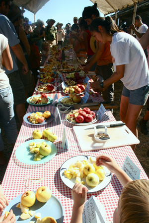 Apple tasting at harvest festival