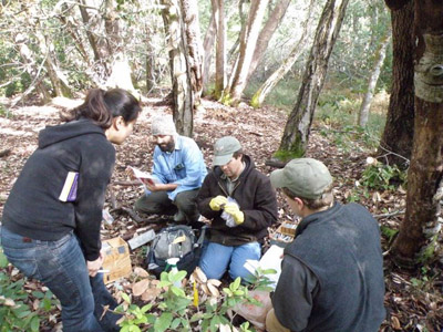 Students and researchers in forest ecology research plot 