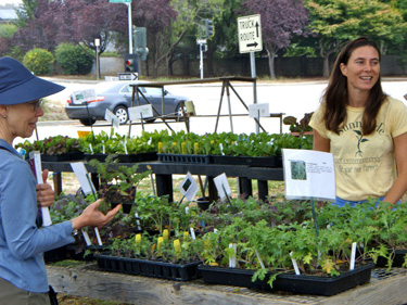 plants for sale at the spring plant sale 
