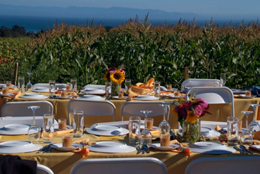 Farm-to-fork tables 