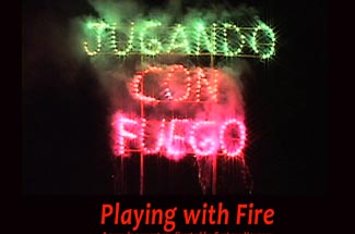 film poster for Playing with Fire