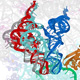 ribosome-image-thumb.jpg