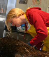melissa miller with sea otter