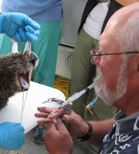 mike murray with sea otter