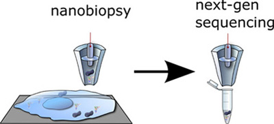 diagram of nanobiopsy procedure