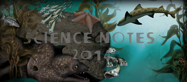 Science Notes cover image