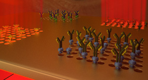 plasmonic nanohole arrays