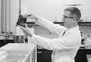 Todd Newberry, professor of biology, founding faculty, in a lab, 1966