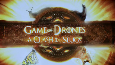 Clash of Slugs logo