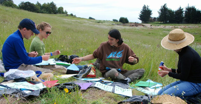researchers collecting leaf samples