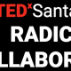 Alumni Weekend features TEDx Santa Cruz and 'Radical Collaboration'