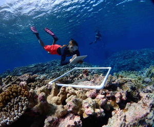 Cabrillo College Biology ProfessorNicole Crane inspects and records reef health