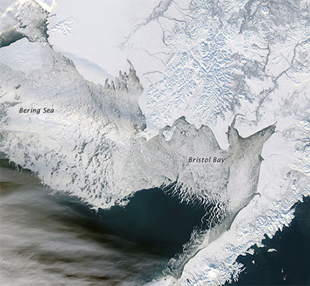 sea ice in the Bering Sea