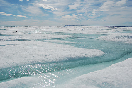 coastal sea ice