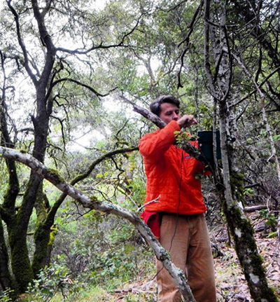 researcher deploying sensor in woods