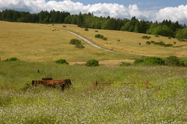 the Great Meadow at UC Santa Cruz