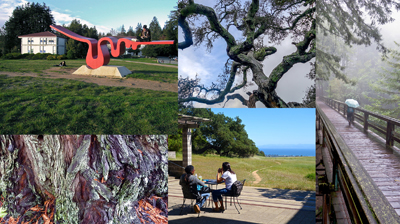 a montage of photos by James Clifford of the UC Santa Cruz campus