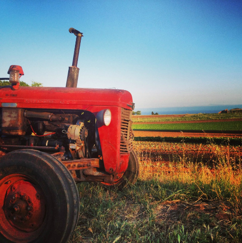 tractor on the farm