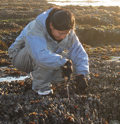 researcher collecting mussels