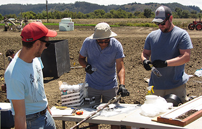 researchers collecting field samples