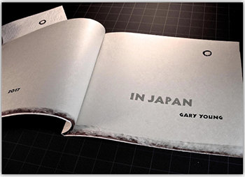 book cover of In Japan by Gary Young