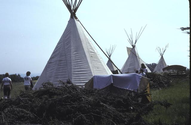 Photo of teepees on the UCSC Farm