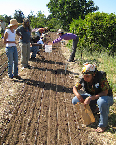 Photo of apprentices in the field