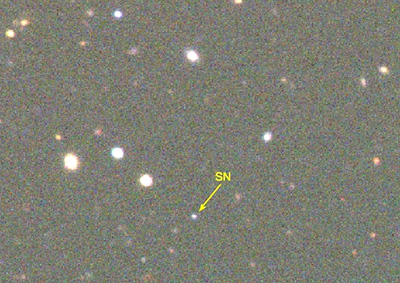 supernova DES15E2mlf