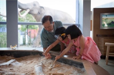 Photo of adult and children interacting with a museum exhibit.
