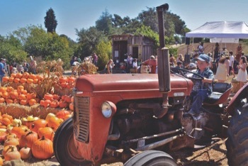 Photo of a child on a tractor on a farm with pumpkins