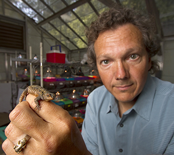 Barry Sinervo, UC Santa Cruz professor of evolutionary biology