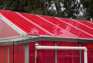 Solar-powered greenhouse