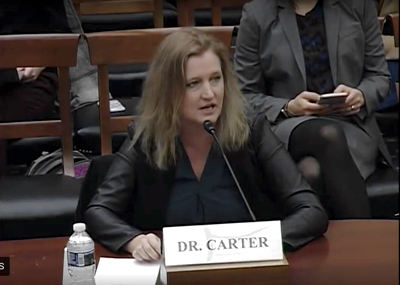 Professor Sue Carter testifying