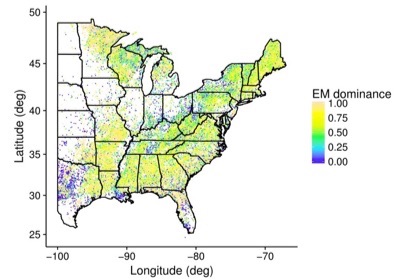 Map of EM dominance across forest inventory plots in the eastern United States.