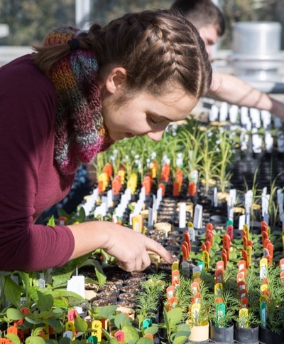 Photo of Elizabeth Davis tending seedlings
