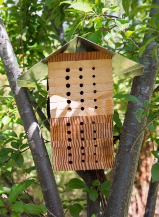 Photo of handcrafted bee hotel