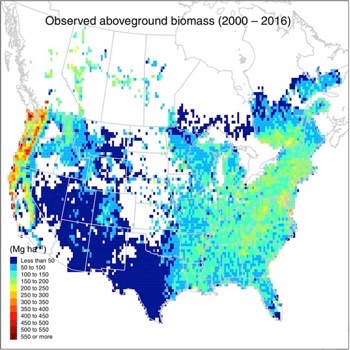 Map of current North American forest biomass