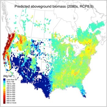 Map of predicted forest biomass in 2080s