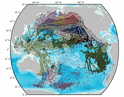 map of marine migrations in Pacific Ocean