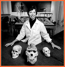 Portrait of Adrienne Zihlman with three skulls in the foreground
