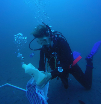 diver collecting water sample