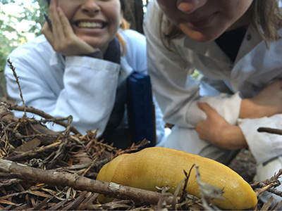 students examining a banana slug