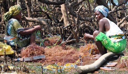 Kenyan women seed seaweed on ropes