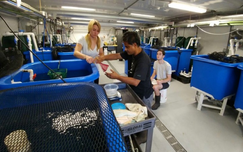 Pallab Sarker in an aquaculture lab