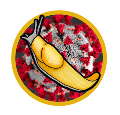 slug coronavirus logo