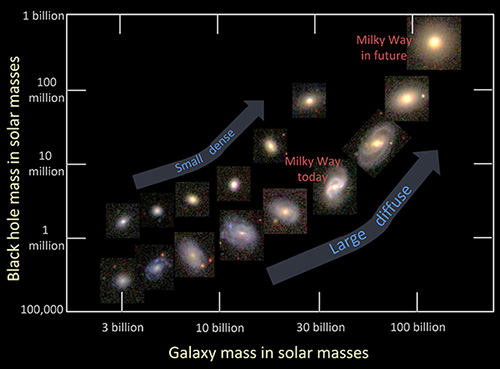 Graph of galaxy mass and black hole mass