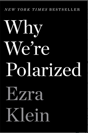 book cover of Ezra Klein's 'Why We’re Polarized'