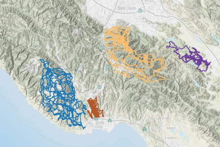 Color-coded GPS tracks for four pumas in the Santa Cruz mountains
